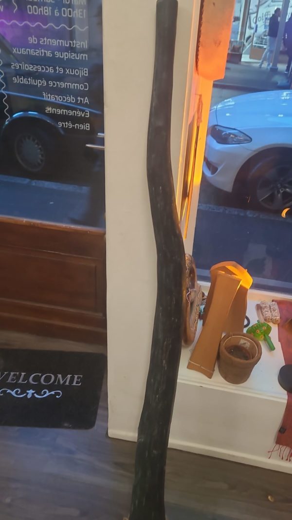 Didgeridoo Hongrois