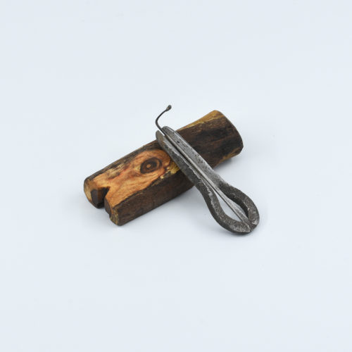 The Forest Echo (D3)