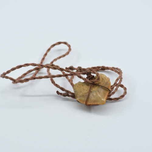 Wide Shark Tooth Necklace