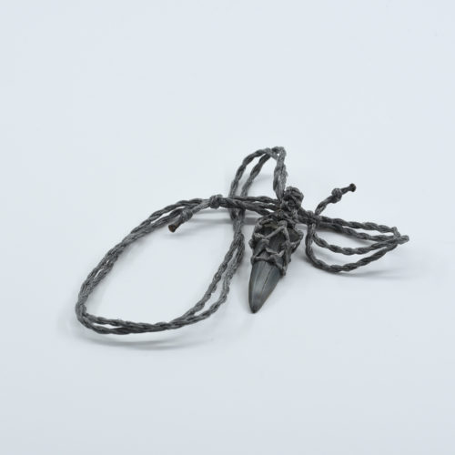 Shark Tooth Necklace