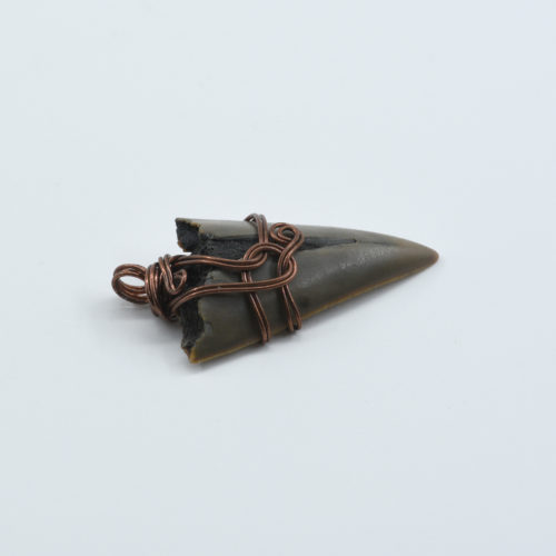 Shark Tooth Pendant